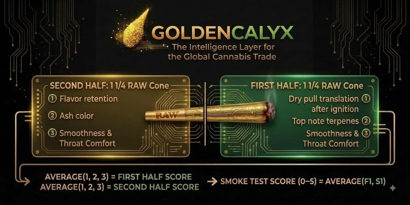 GoldenCalyx smoke test diagram. The first half of a 1 1/4 RAW cone is scored on dry pull translation after ignition, top note terpenes, and smoothness and throat comfort; the second half is scored on flavor retention, ash color, and smoothness and throat comfort. Each half is averaged, and the smoke test score of 0 to 5 is the average of the two halves.